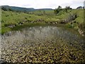 The lower of the two ponds west of Whittondean