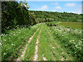 Track near Brickkiln Farm