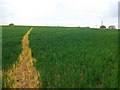 Footpath near Village Farm, Ansley