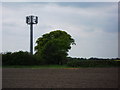 Telecommunications mast near Hood Lane Farm, Ansley