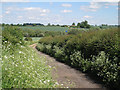 Lane from Whitnash to Radford Barn