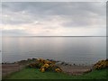 The sea shore from the Annalong Road