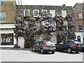 Flowers adorning a property in Market Square