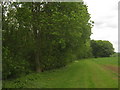 Permissive Path beside Park Wood