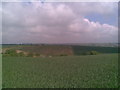 Farmland near Cold Higham