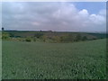 Farmland near Cold Higham