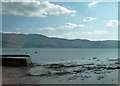 Rostrevor Harbour at low tide