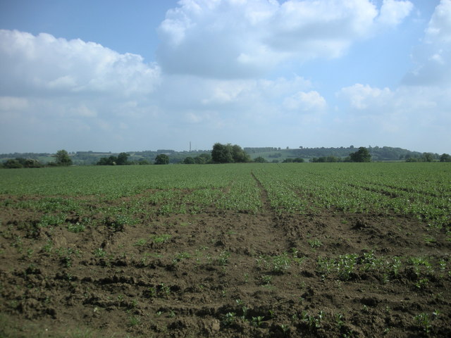 Upper Shuckburgh Farmland © Ian Rob Cc-by-sa 2.0 :: Geograph Britain 