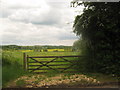 Frustrating footpath near Goldwell Farm