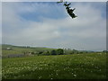 Fields north of Dove Holes