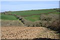 The Valley above Carne