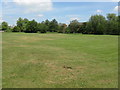 Public Open Space by the Thames