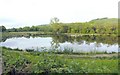 Tyn-y-graig Fishery, Crynant