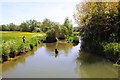 The Seacourt Stream at Wytham Mill