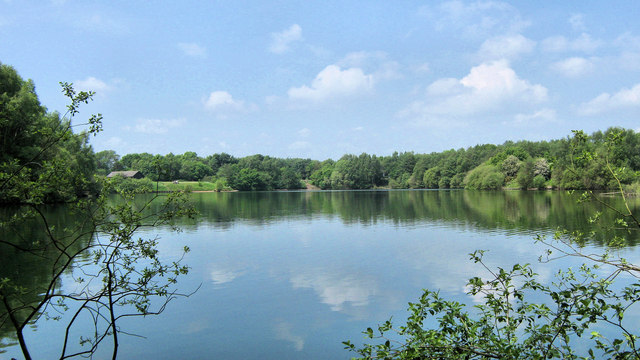 Looking north across the lake