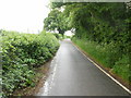 Pentrepoeth Road approaches the turning for Clearwell Farm