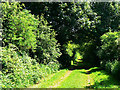 Bridleway from Clifton Road, Clifton