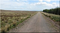 NN7810 : New road, Braes of Doune by Richard Webb