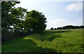 Path by the side of a field