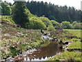 Afon Lwyd above the bridge