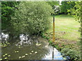 Water level gauge by Green Bridge at Wisborough Green