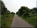 Cycle track towards Hedon