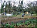 Allotments, Corsham