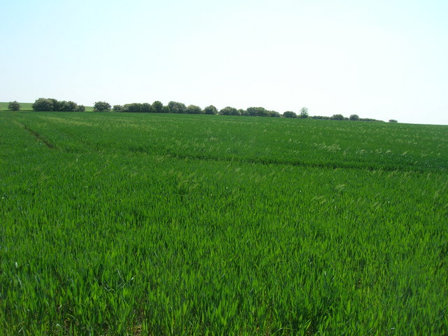 Farmland off the B1242