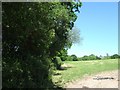 Field and hedge to east of Hayne Lane, Honiton