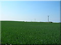 Farmland north of the B1362