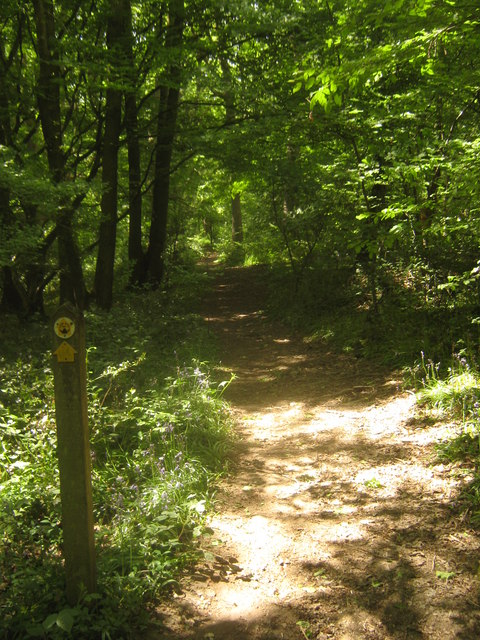 Saxon Shore Way in Priory Wood (4)