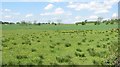 Farmland, Eastshield