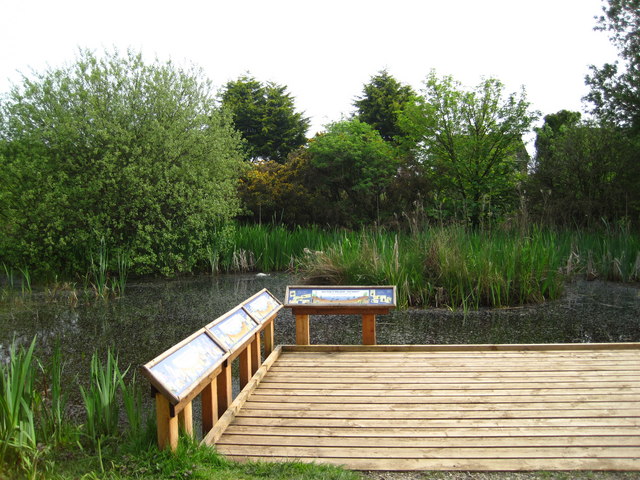 Kingmoor Wildlife Pond