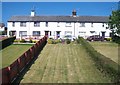 Terraced housing on Greenwood Drive