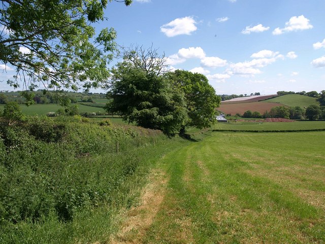 Two Moors Way approaching Paschoe Dairy Farm