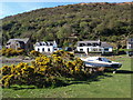 Houses in Lochranza