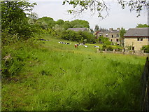 SD7920 : Meadow, Irwell Vale, Rossendale, Lancashire by Robert Wade