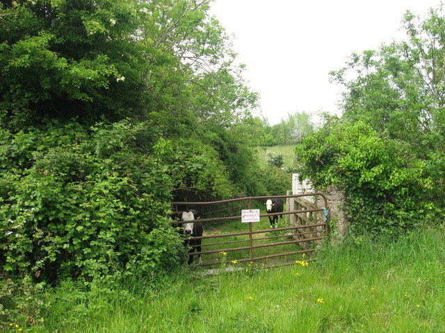 Farm gate at Cruicerath, Co. Meath