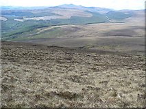 NH5878 : Heather slopes of Cnoc a' Mhadaidh by Andrew Spenceley