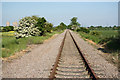 Track to High Marnham