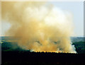 Cropton Forest Fire