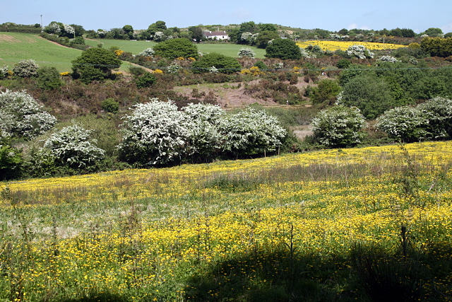 The Carnon Valley west of Bissoe © Fred James :: Geograph Britain and ...