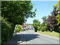 Approaching a bend in Worlds End Lane