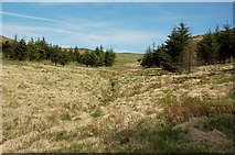 NX4895 : Moorland Edge near Loch Doon by Mary and Angus Hogg