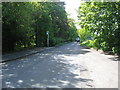 Leafy road near Liff Hospital