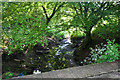 Stream Under the Bridleway