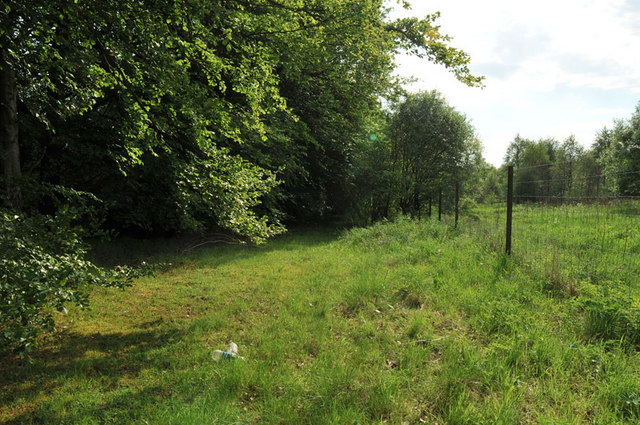 Path along the woodland edge near Aberdona