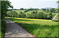 Lane down to Bottoms Hall Farm