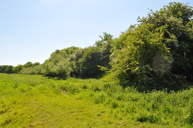 Overgrown Track to County School © Ashley Dace cc-by-sa/2.0 :: Geograph ...