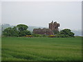 Cereal crop near Red Castle